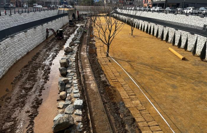 갈아엎는 신대천 잔디... "며칠이나 지났다고"