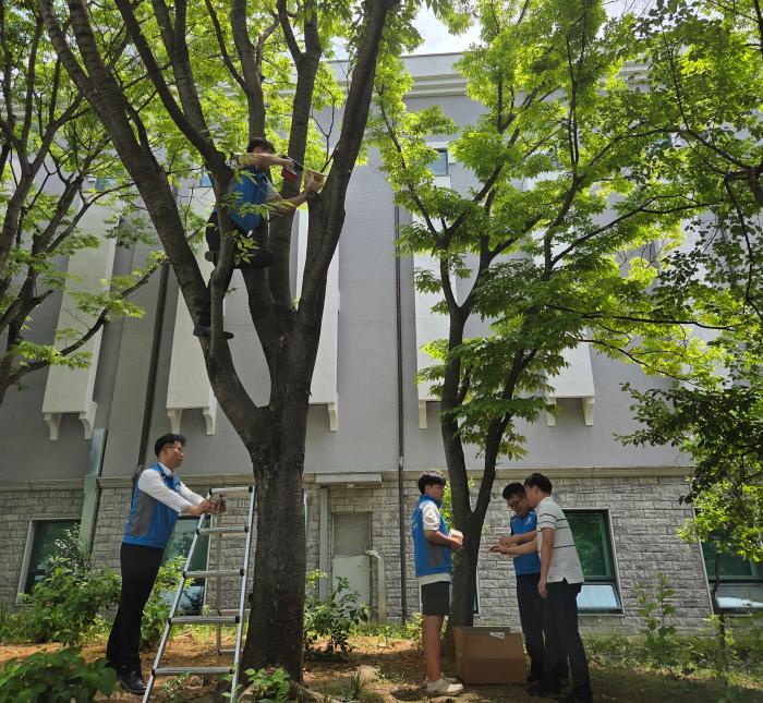 에코봉사단원들이 새집을 달고 있다  사진금당남부교회